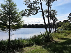 Lots F-10, F-11, F-12