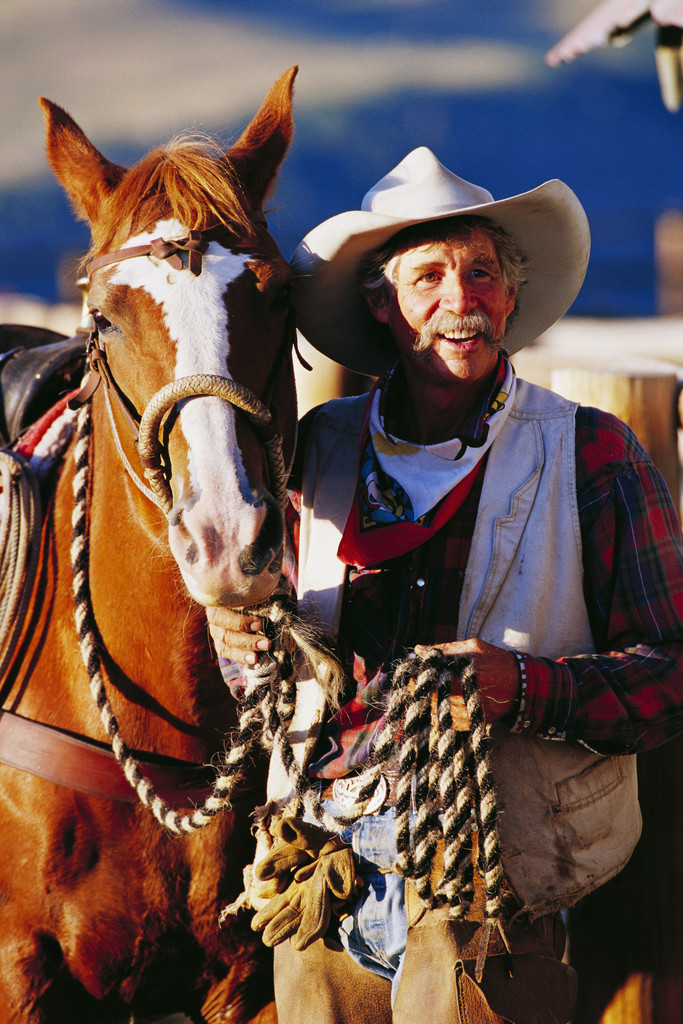 HORSE PHOTO 02