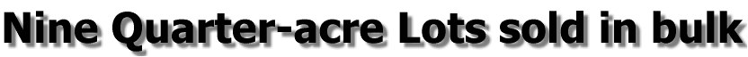 Nine Quarter-acre Lots sold in bulk